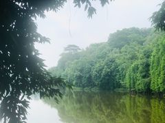 -三水森林公园