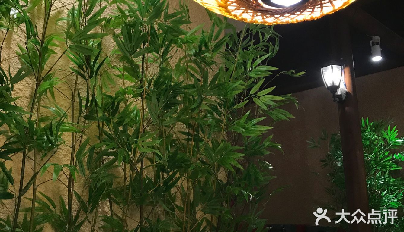 孩子最爱的鸽子汤，营养健康好味道