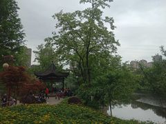 -重庆彩云湖湿地公园