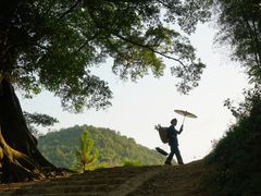 -北岐滩涂