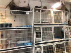 -小时光咖啡馆(北锣鼓巷店)