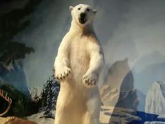 -陕西自然博物馆