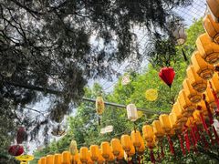 -千佛山风景名胜区