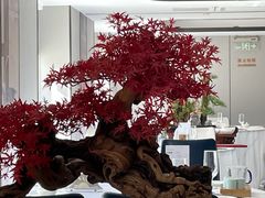 -顺峰(农展馆店)