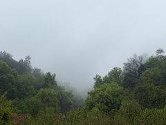 -常德桃花源景区