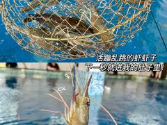 -SHRIMP CLUB万东餐饮钓虾·清吧