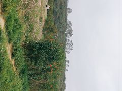 -清溪大王山森林公园