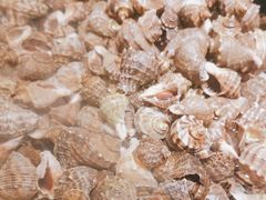 -港畔赶海蒸汽海鲜烧烤自助(仙螺岛店)