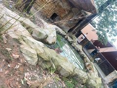 -成都动物园