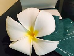-巴厘岛洲际酒店池畔餐厅(InterContinental Bali Resort)
