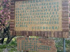 -金龙寺国家森林公园