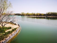 -大兴滨河森林公园