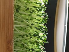 -椰子营·椰子鸡火锅(万象里店)