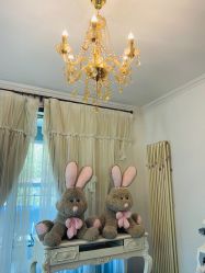 -美肤盾祛痘·问题肌头疗管理中心