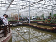 -上海鲜花港