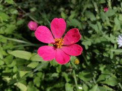 -桤木河湿地公园