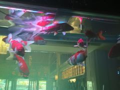 -御海8号温泉酒店