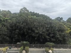 -罗浮山嘉宝田森林温泉度假酒店