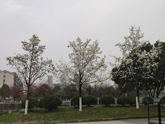 -江南大学(蠡湖校区)
