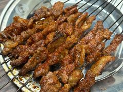 烤羊肉串-张四烤羊肉(西藏自治区拉萨市丹杰林巷店)