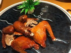 -大鸽饭(马王堆店)