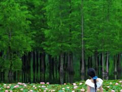 -白鹭湾湿地公园