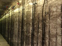 -杭州逸酒店(西湖武林店)