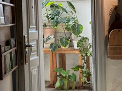 -自由生长植物工作室(深港花卉中心店)