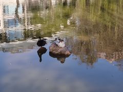 -西安市长乐公园