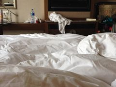 IMG_4474-澳门十六浦索菲特大酒店