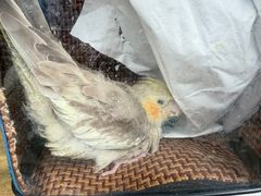 -苏州河梦清园环保主题公园