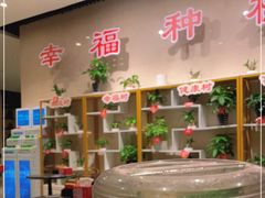 -海底捞火锅(万达坊店)