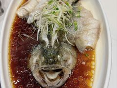 清蒸海鲈鱼-刘胖子家常菜·蹄花焖藕(中南店)