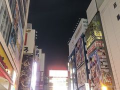 -秋叶原电器街