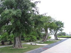 -三亚航空旅游职业学院