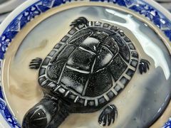 -韵姐牛奶甜品世家