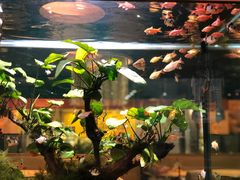 -大家乐(佛山南海店)