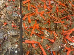 -一方渔歌蒸汽海鲜自助(文化路万达广场店)