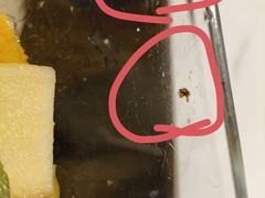 -必胜客(栖乐荟店)