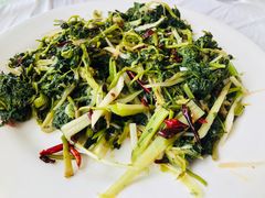 -庆岭迎宾园正宗活鱼馆