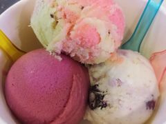 -莓园冰淇淋店
