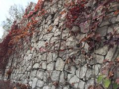 -原山国家森林公园