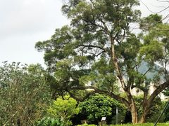 -四海公园(南山区)