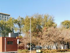 -长春市南湖公园