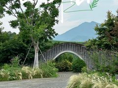 -龙坞茶村