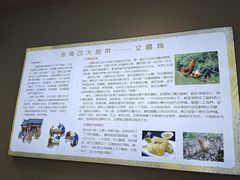 -文昌鸡饭店110号(中山路店)