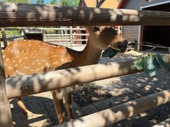 -中家鑫园温泉酒店鑫悦汤泉