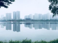 -飞来湖湿地公园