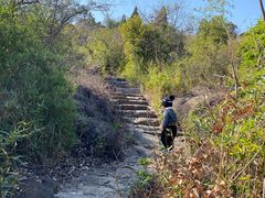 -白马涧龙池景区