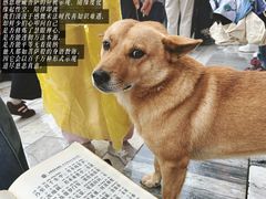 -九华山风景区月身宝殿